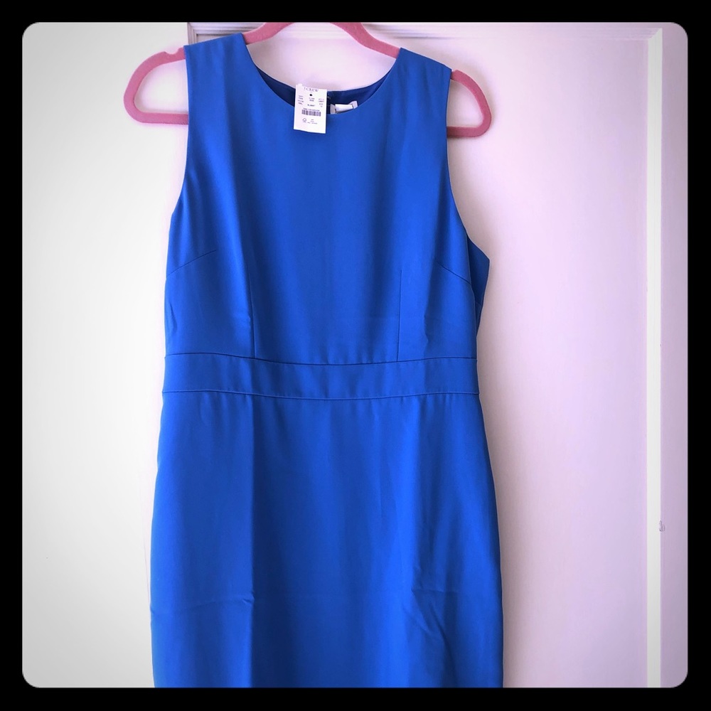 Brand new : JCrew Periwinkle Blue Dress